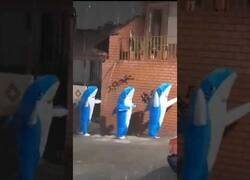 Enlace a Se disfrazan de tiburones durante los diluvios en Medellín