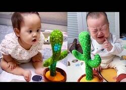 Enlace a Bebés reaccionan al cactus que repite todo lo que dices