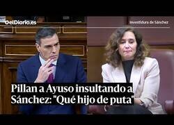 Enlace a Cazan a Ayuso insultando a Pedro Sánchez
