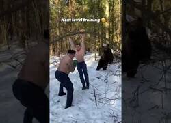 Enlace a Boxeadores rusos entrenan con osos