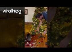 Enlace a Mapache ayuda a decorar el árbol de navidad