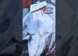 Enlace a Venden un atún de más de 200 kilos por 800.000 dólares