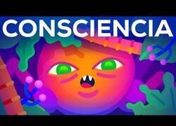 Enlace a El origen de la consciencia: ¿Cómo se volvieron conscientes los seres vivos?