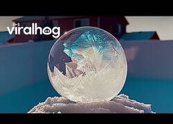 Enlace a ¿Habías visto alguna vez una burbuja congelarse?