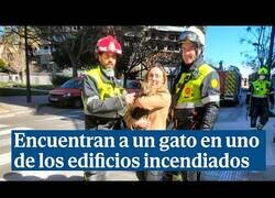 Enlace a Bomberos encuentran un gato en el edificio de Valencia 8 días después del incendio
