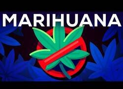 Enlace a Argumentos a favor de la ilegalicación de la marihuana