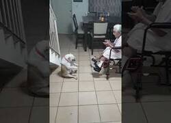 Enlace a Este perro baila al ritmo de la abuela
