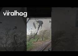 Enlace a Conductor de tren se ve inmerso en un tornado