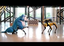 Enlace a Conoce a Sparkles, el perro de Boston Dynamics