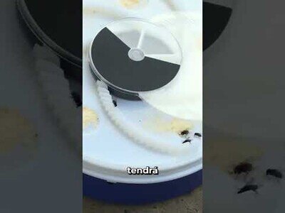 Novedosa trampa para moscas