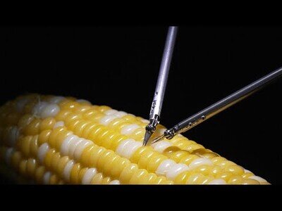 Robot de asistencia de microcirugía cose un grano de maíz