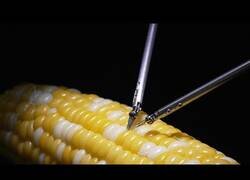 Enlace a Robot de asistencia de microcirugía cose un grano de maíz