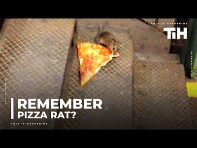 Los ratones adoran la pizza