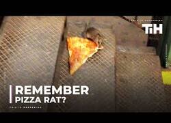 Enlace a Los ratones adoran la pizza