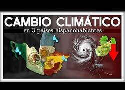 Enlace a Las verdaderas consecuencias del cambio climático