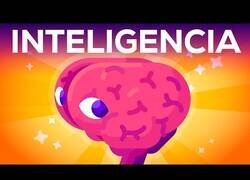 Enlace a ¿Qué es la inteligencia?