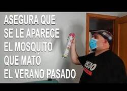 Enlace a Hombre asegura que se le aparece el mosquito que mató el verano pasado