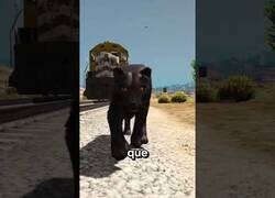 Enlace a ¿Qué animales del GTA V corren más que el tren?