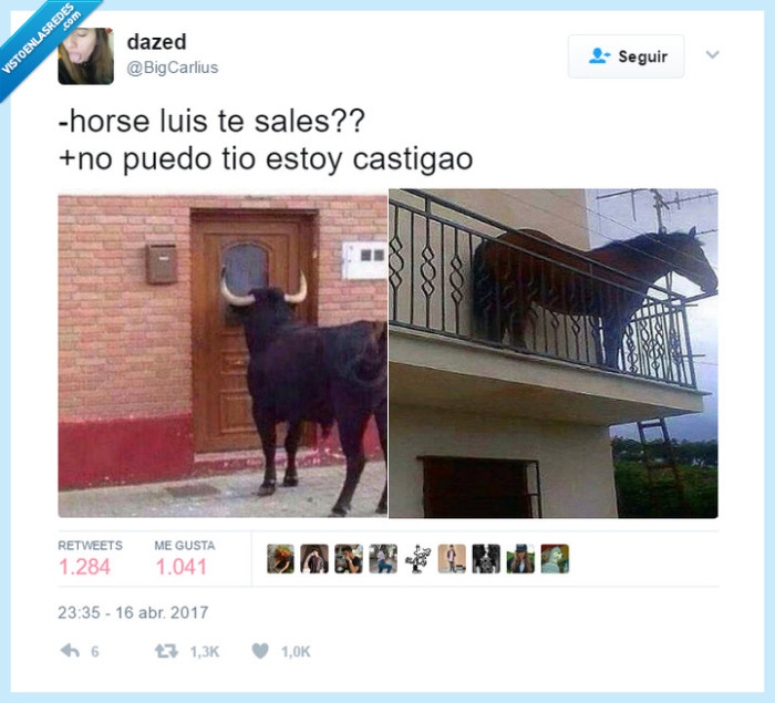 VEF > Visto en las Redes > Horse Luis y su drama de vida ...