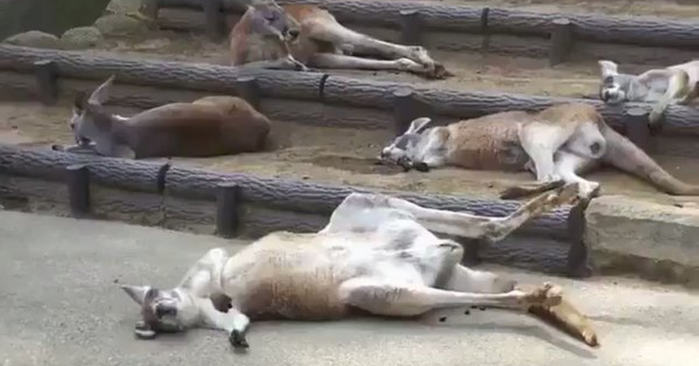 вчера было хорошо. зато вчера было весело. что вчера было интересного. что вчера было интересного. шары завтра понедельник.