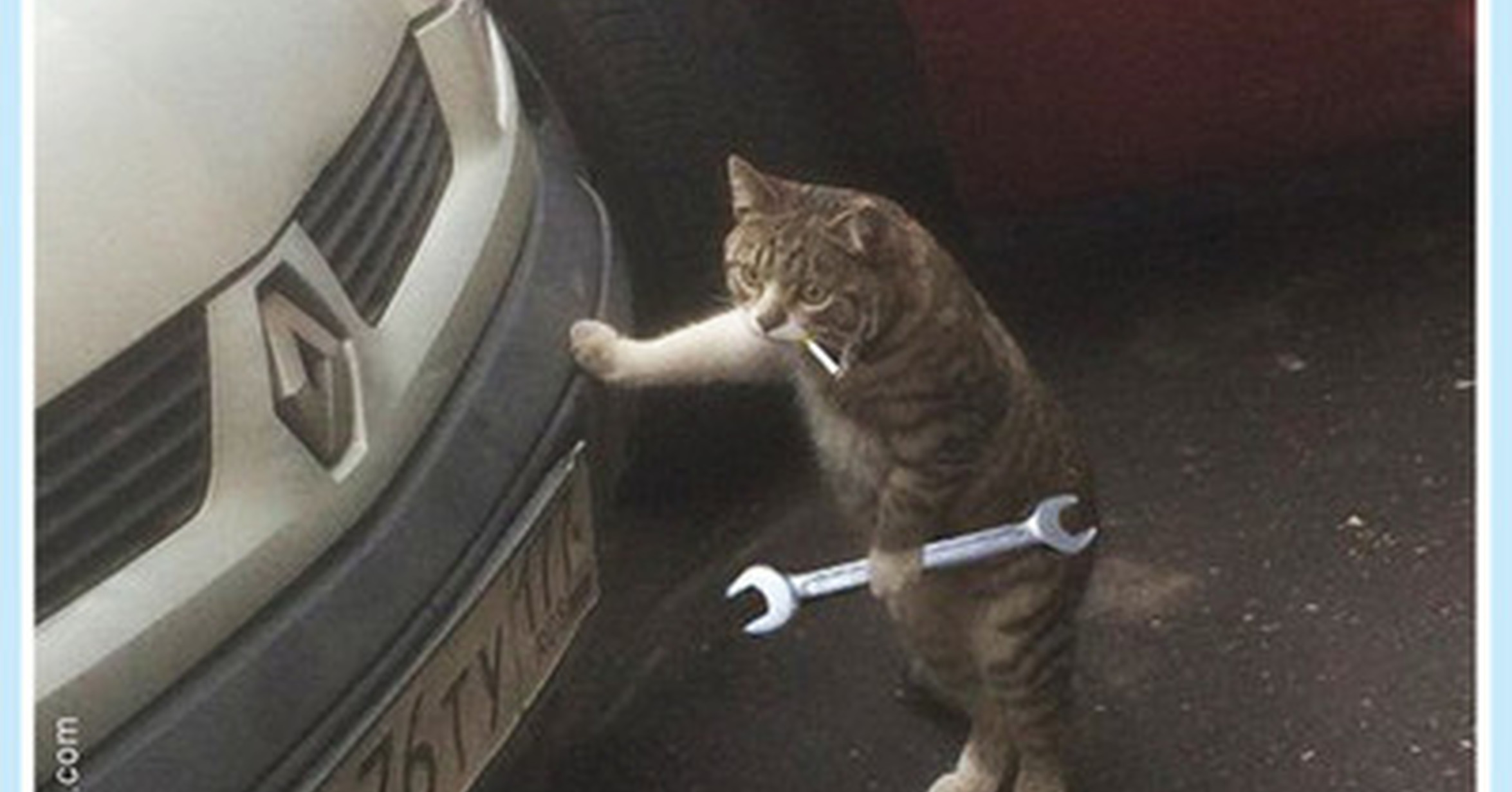 Cat With Wrench Meme Cat With Wrench Meme
