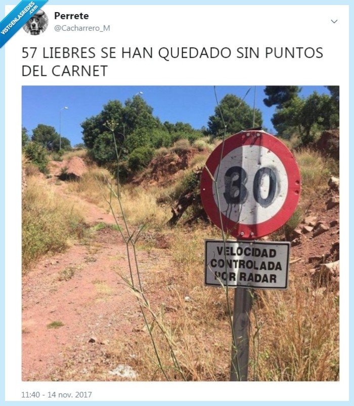 VEF_490291_4537f1b21ee144b1abf0976b94a38884_twitter_campantildea_control_velocidad_dgt_por_cacharrerom.jpg