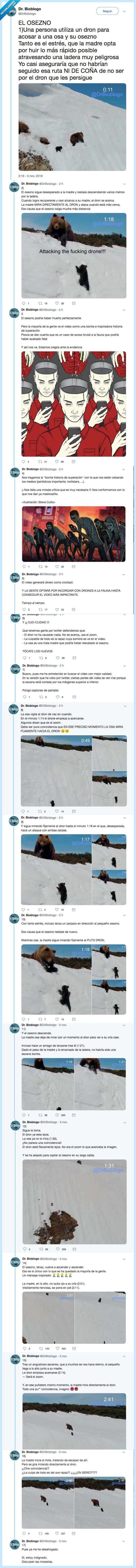 500961 - Detrás de este vídeo viral de un osezno que nos da una lección a todos existe un claro mensaje del cual nadie se había percatado