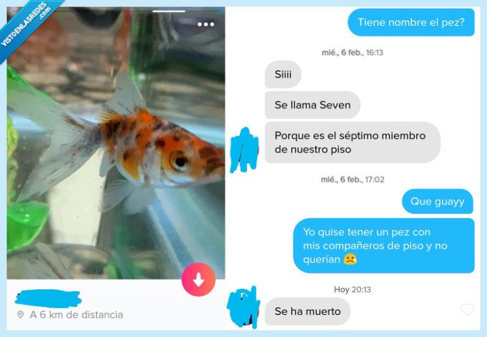 510835 - Sad tinder story