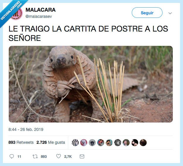 carta,postres,camarero,que bicho es este