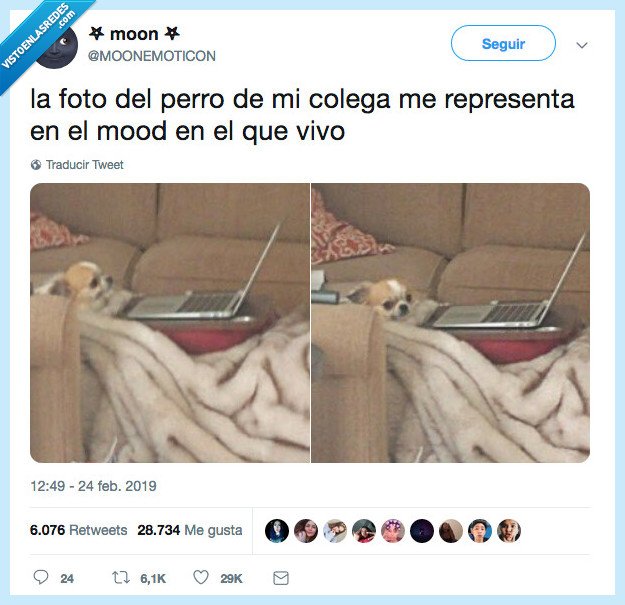 perro,yo,soy