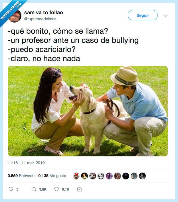bullying,profesor,acariciar,hacer nada