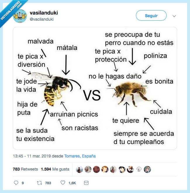 Diferencias entre avispas y abejas