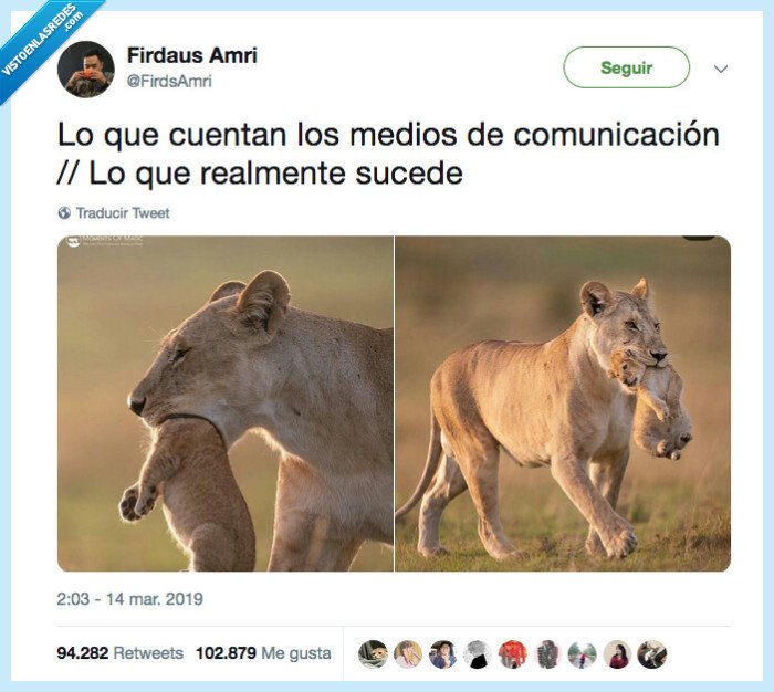 medio comunicación,león,pasar
