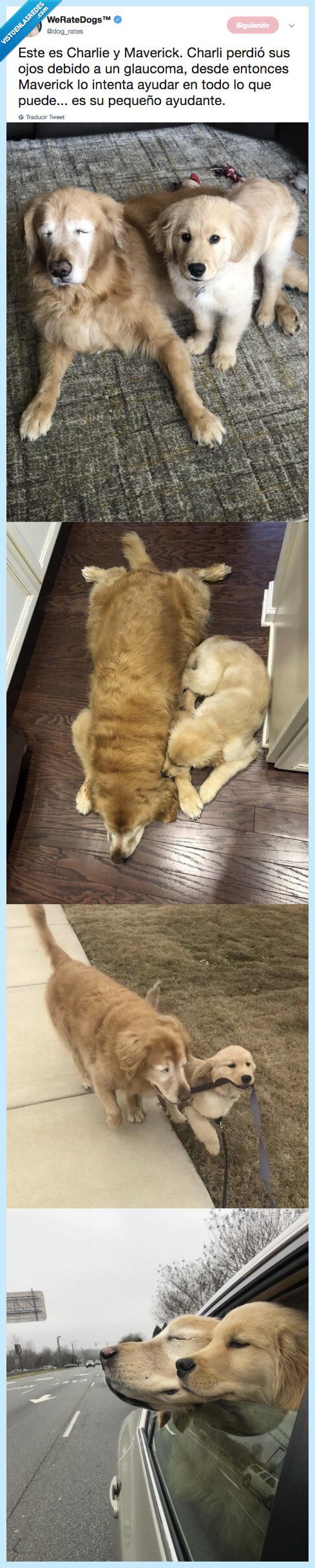 llorado,perris,con esto