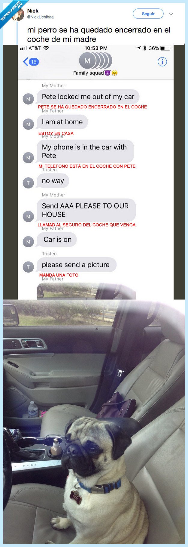 perro,encerrar,coche,madre