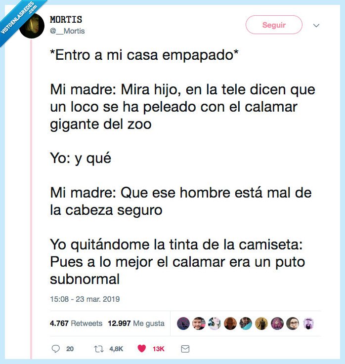 calamar,pinta,ser majo