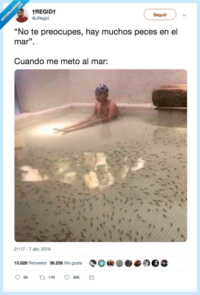 peces,se van,todos,los peces
