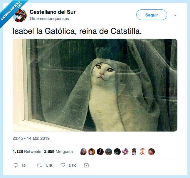gatolicsmo,religion