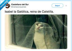 Enlace a El gatolicismo: mi religión, por @memesconquenses