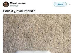 Enlace a Poesia everywhere, por @mlarraya