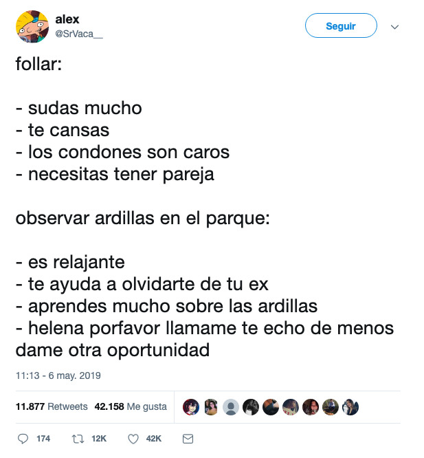 parque,ver,ardillas,fornicar,ex,relaciones