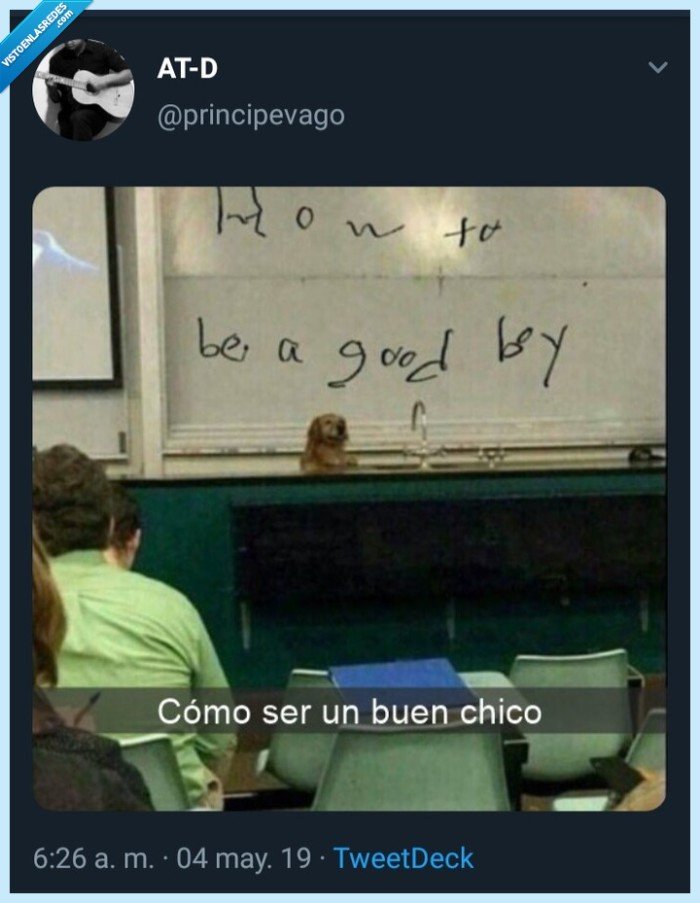 Perro,clase,principevago
