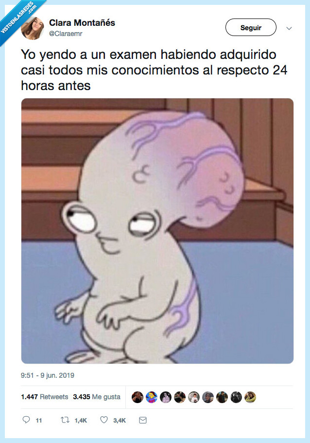 cerebro,conocimientos,24 horas antes