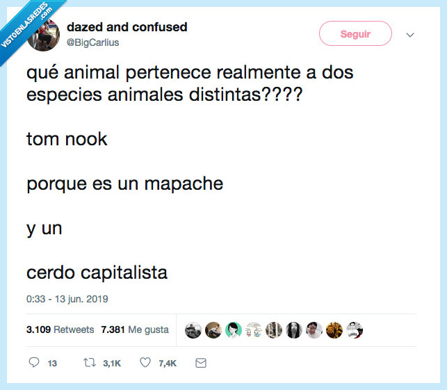 toom nook,animal,mapache,cerdo