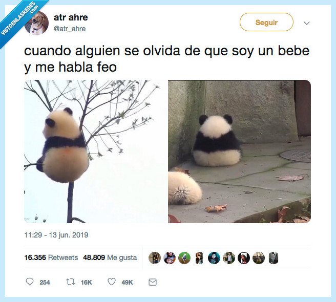 panda,bebe,enfadar