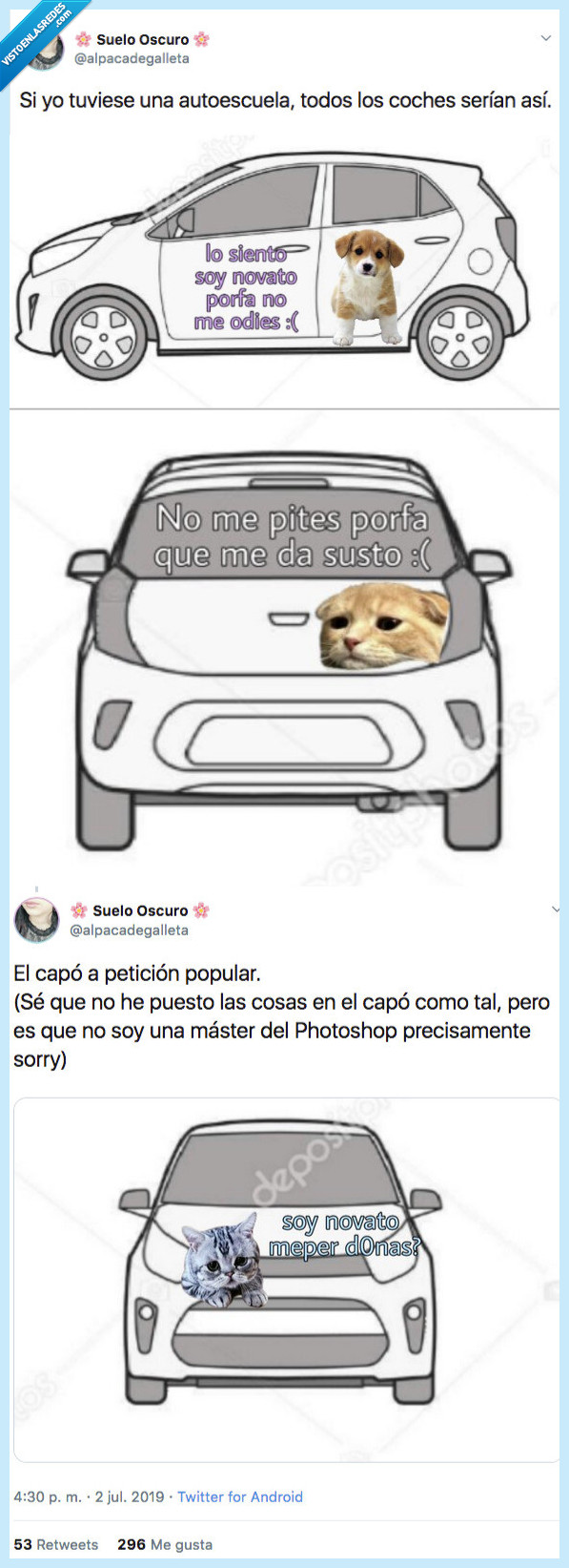 coches,autoescuala,ser así,gato,perri