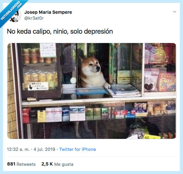 perro,abrazo,necestar,masibon,calipo