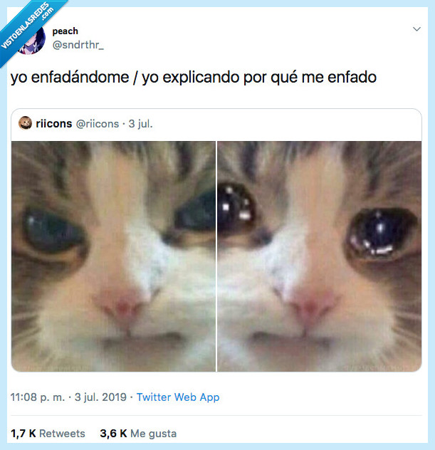 Featured image of post Meme De Un Gato Llorando El meme se hizo popular en las redes sociales a mediados de junio de 2019 y luego el gato fue identificado como smudge the cat