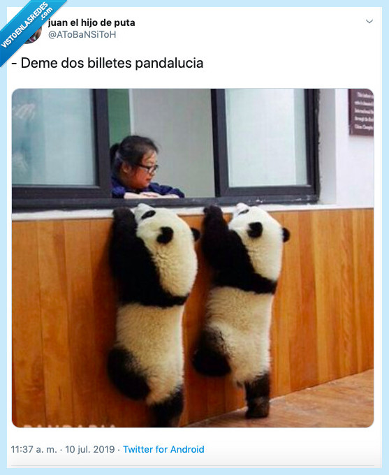 panda,querer,billetes,andalucía