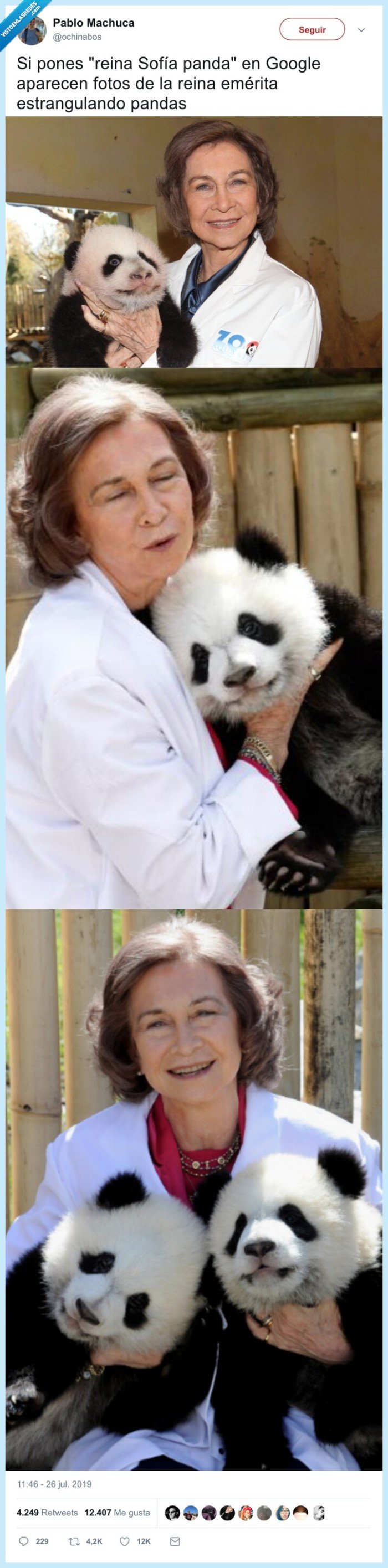 reina sofia,pandas,estrangular